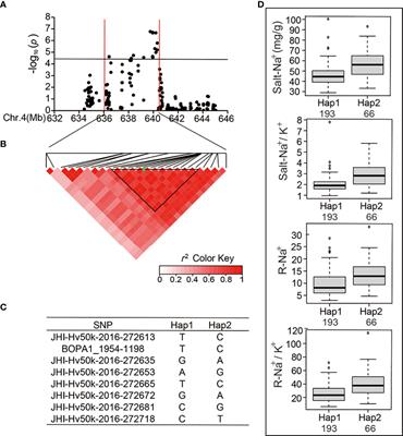 Corrigendum: Integrated GWAS and transcriptomic analysis reveal the candidate salt-responding genes regulating Na+/K+ balance in barley (Hordeum vulgare L.)